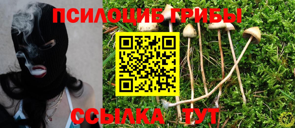 Галлюциногенные грибы MAGIC MUSHROOMS Баксан